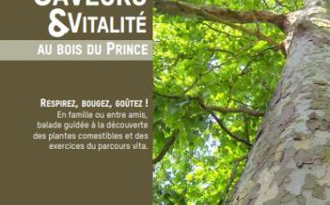 Journée « Saveurs et Vitalité » au Centre de loisirs.