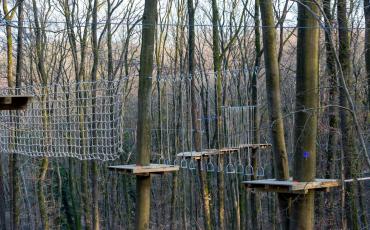 Arboreo - Accrobranche Charleroi est ouvert depuis ce samedi !