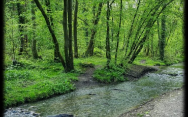Le Centre de Délassement a aussi sa balade TOTEMUS !