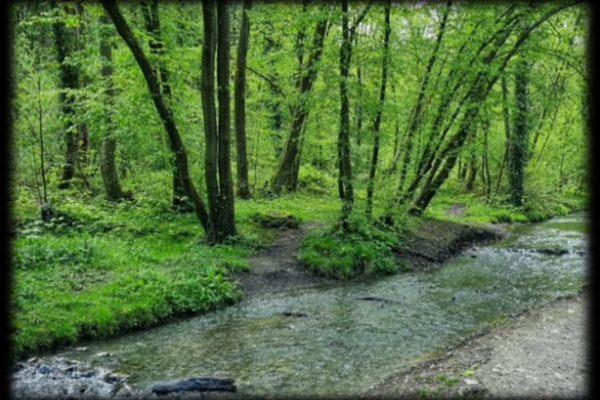 Le Centre de Délassement a aussi sa balade TOTEMUS !